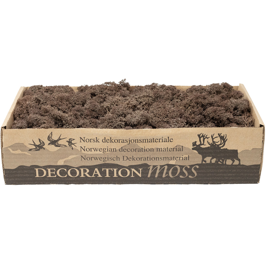Cardboard Island Moss Brown - 500g