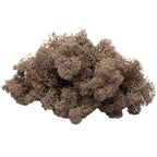 Cardboard Island Moss Brown - 500g