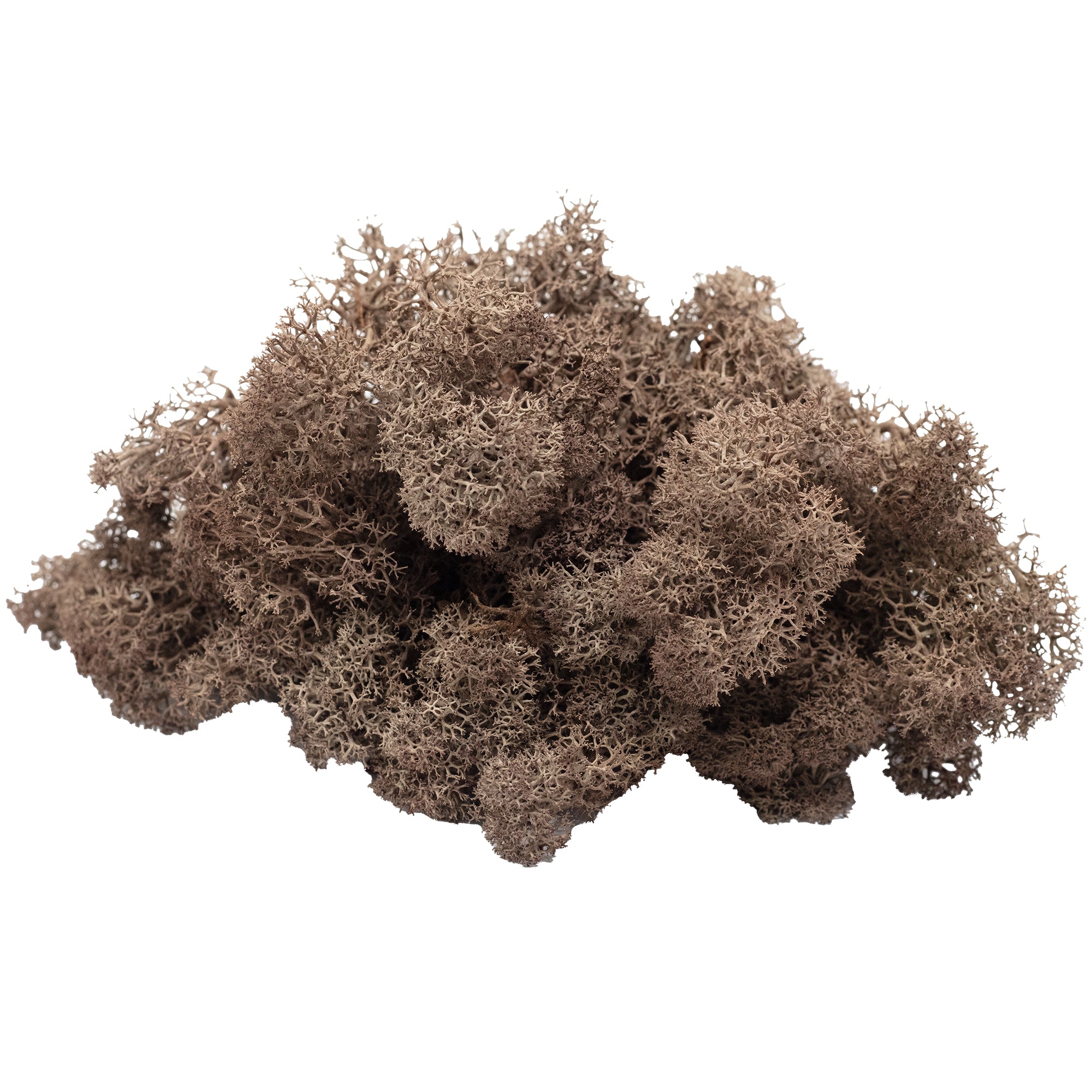 Cardboard Island Moss Brown - 500g