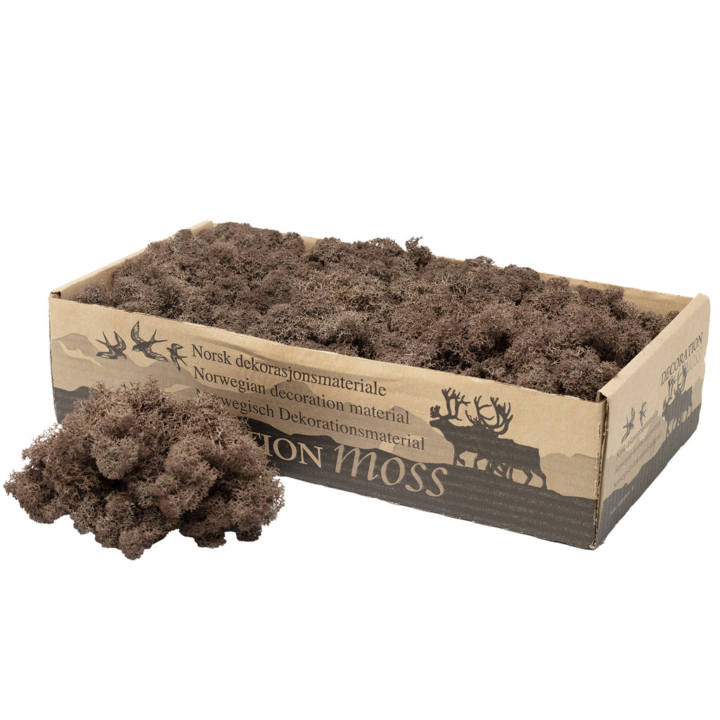 Cardboard Island Moss Brown - 500g