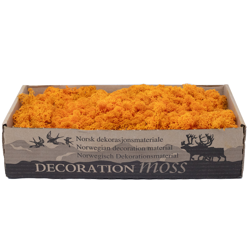 Cardboard Island Moss Orange 500g