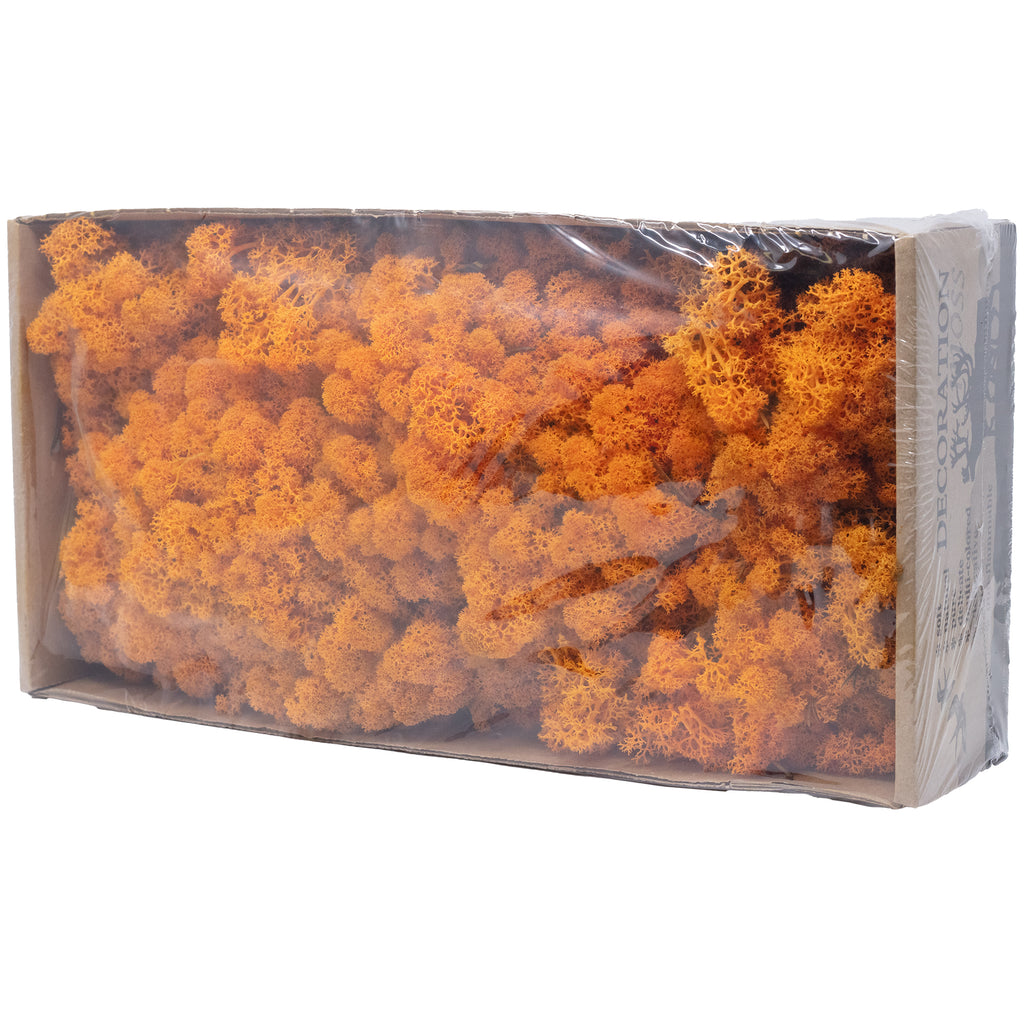 Karton Islandmoos Orange 500g