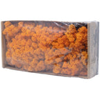 Karton Islandmoos Orange 500g