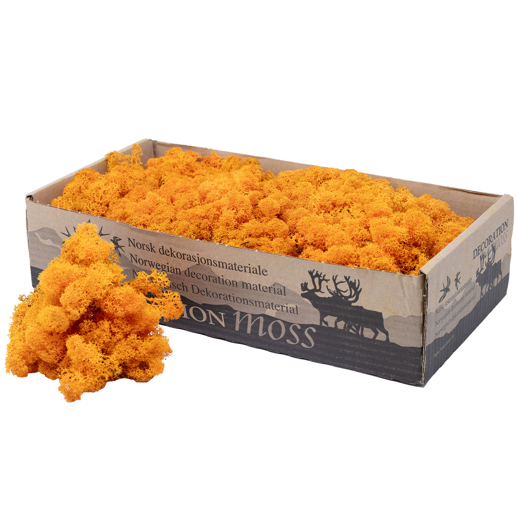 Cardboard Island Moss Orange 500g