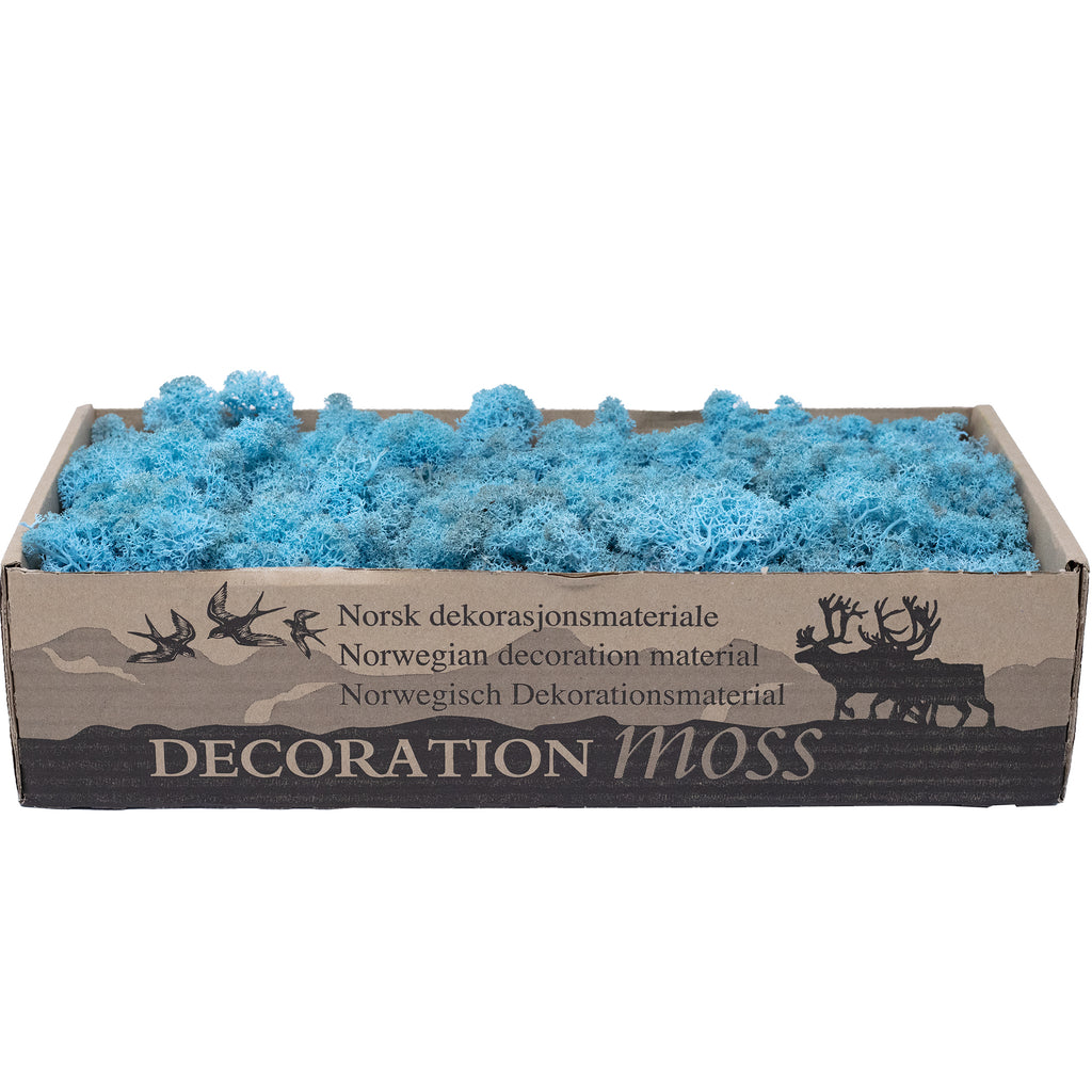 Karton Islandmoos Aquamarin/Hellblau 500g