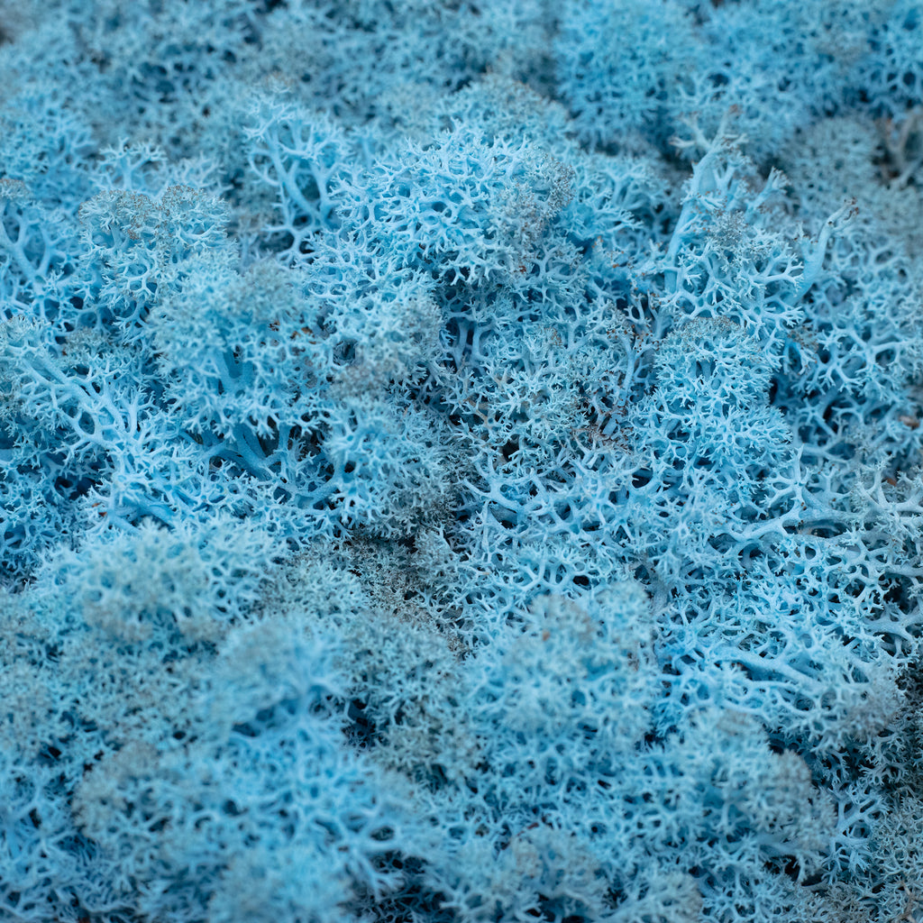 Cardboard Island moss aquamarine/light blue 500g