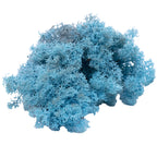 Karton Islandmoos Aquamarin/Hellblau 500g