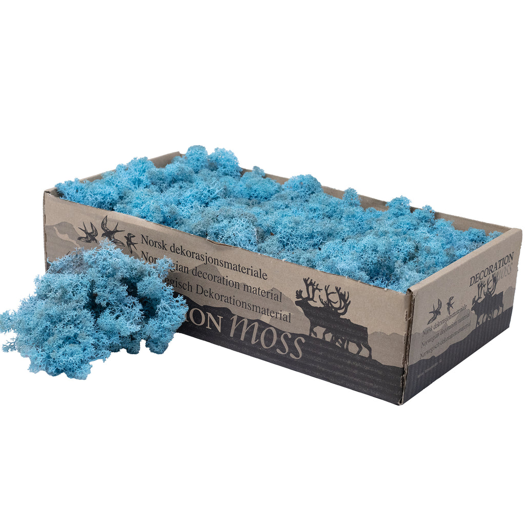 Karton Islandmoos Aquamarin/Hellblau 500g