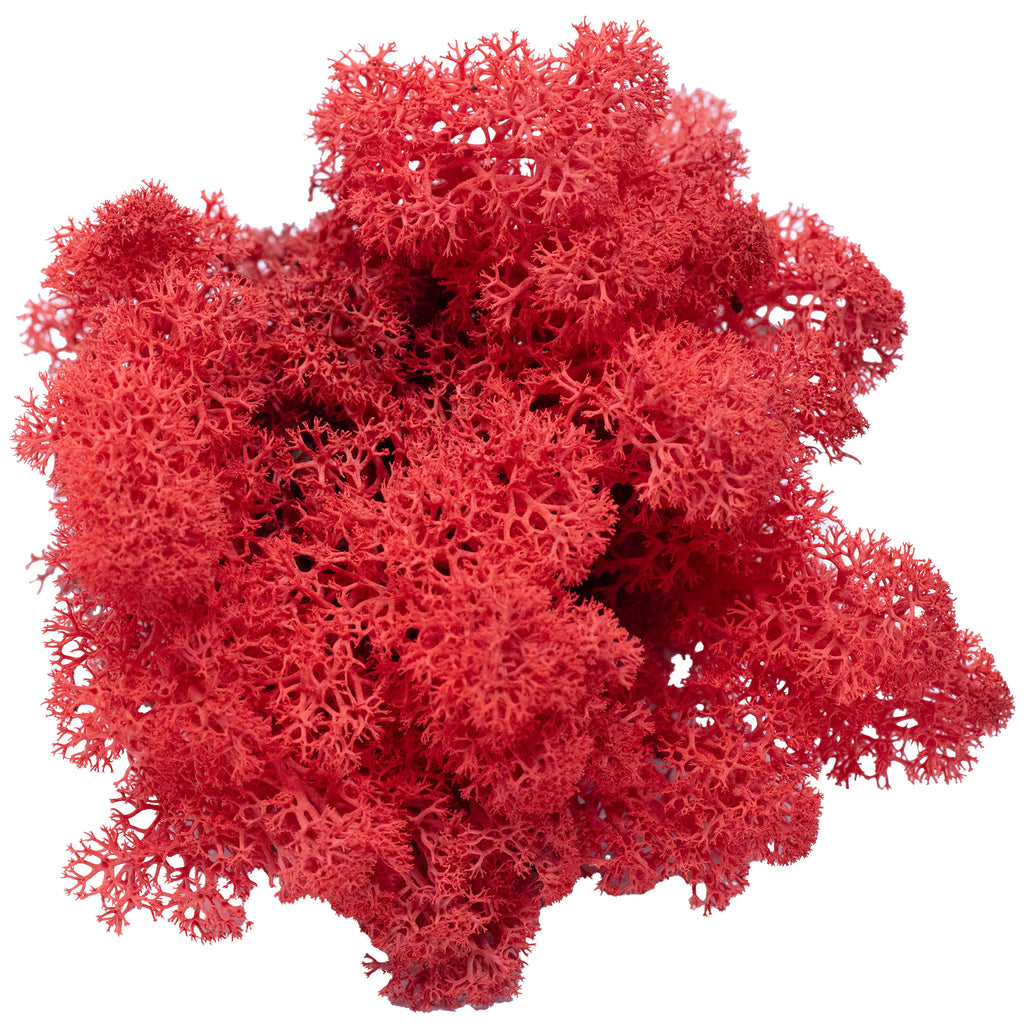 Mousse de l'île en carton, rouge clair, 500 g