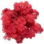Mousse de l'île en carton, rouge clair, 500 g