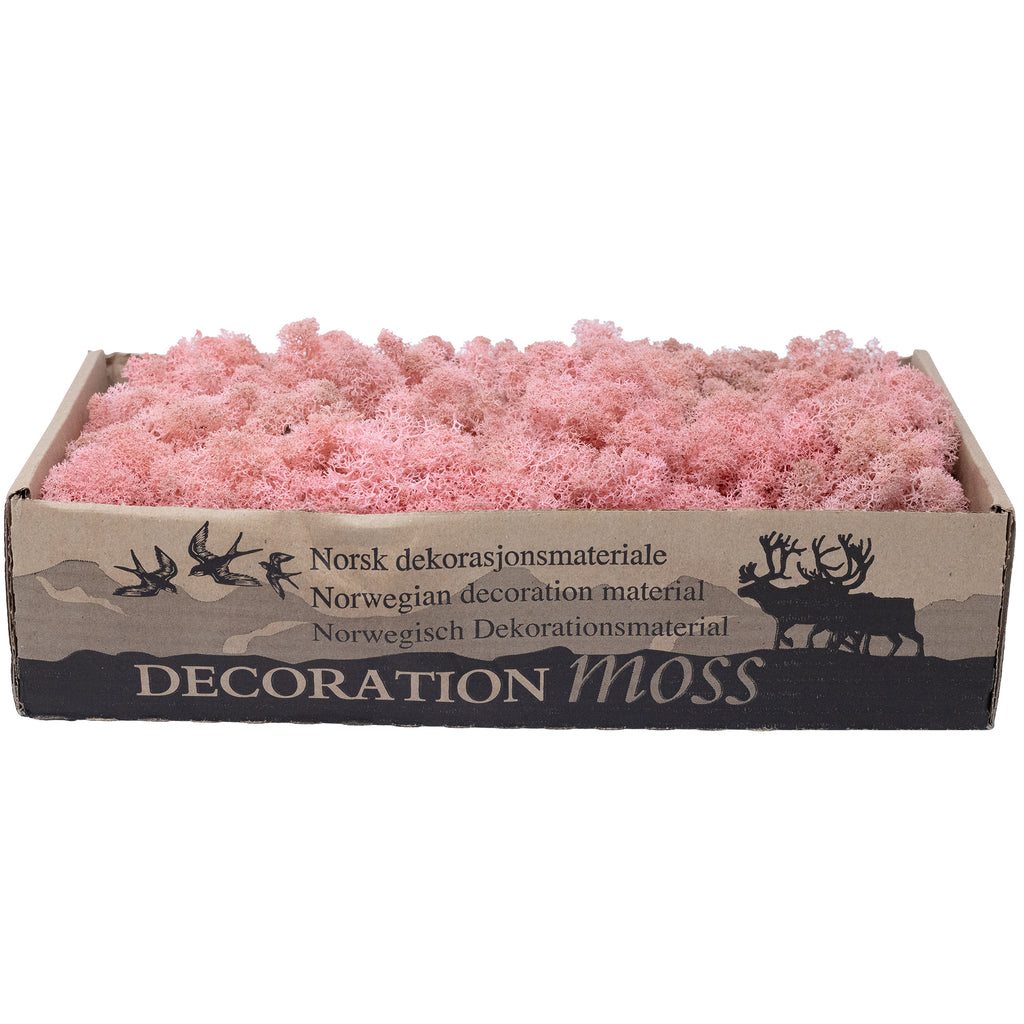 Cardboard Island moss, old rose, 500g