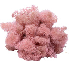 Cardboard Island moss, old rose, 500g