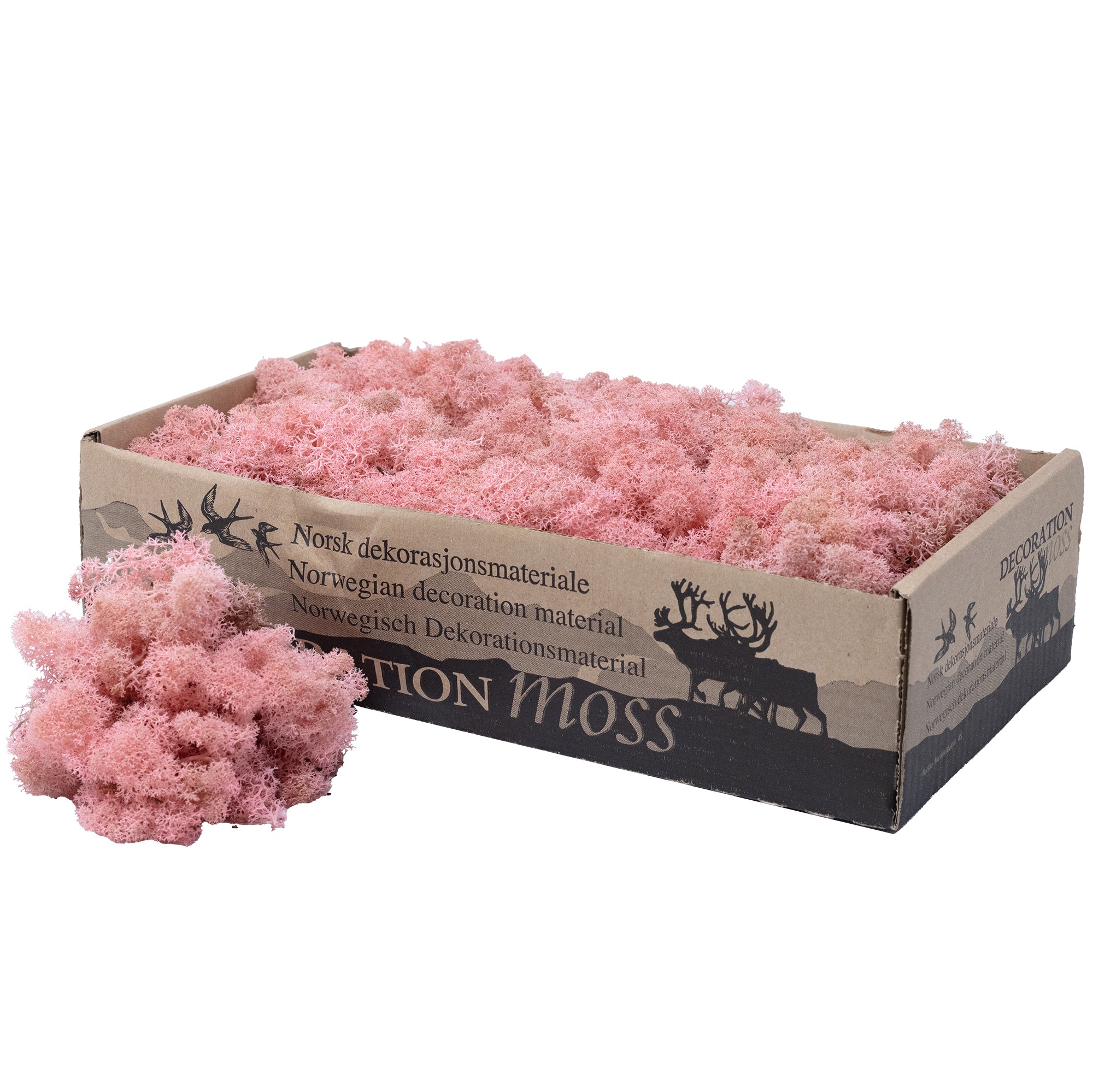 Cardboard Island moss, old rose, 500g