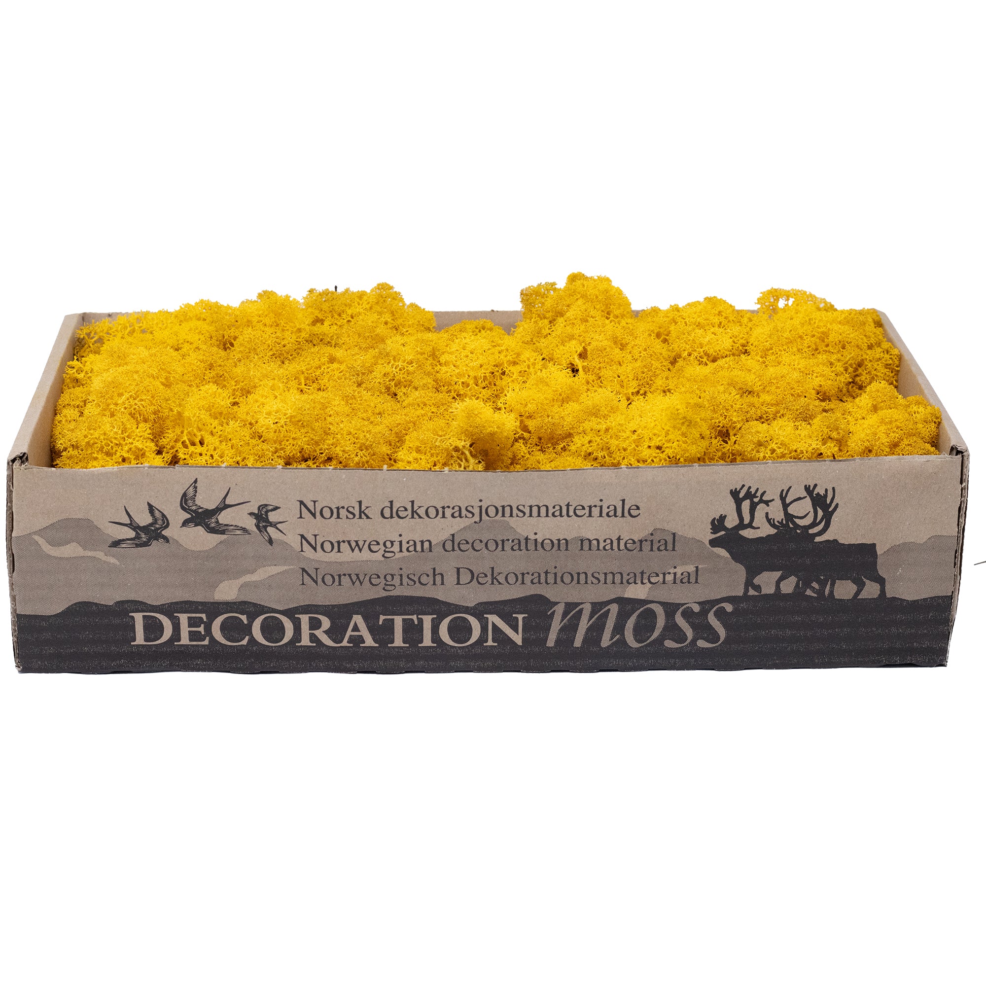 Cardboard Iceland moss mustard yellow 500g