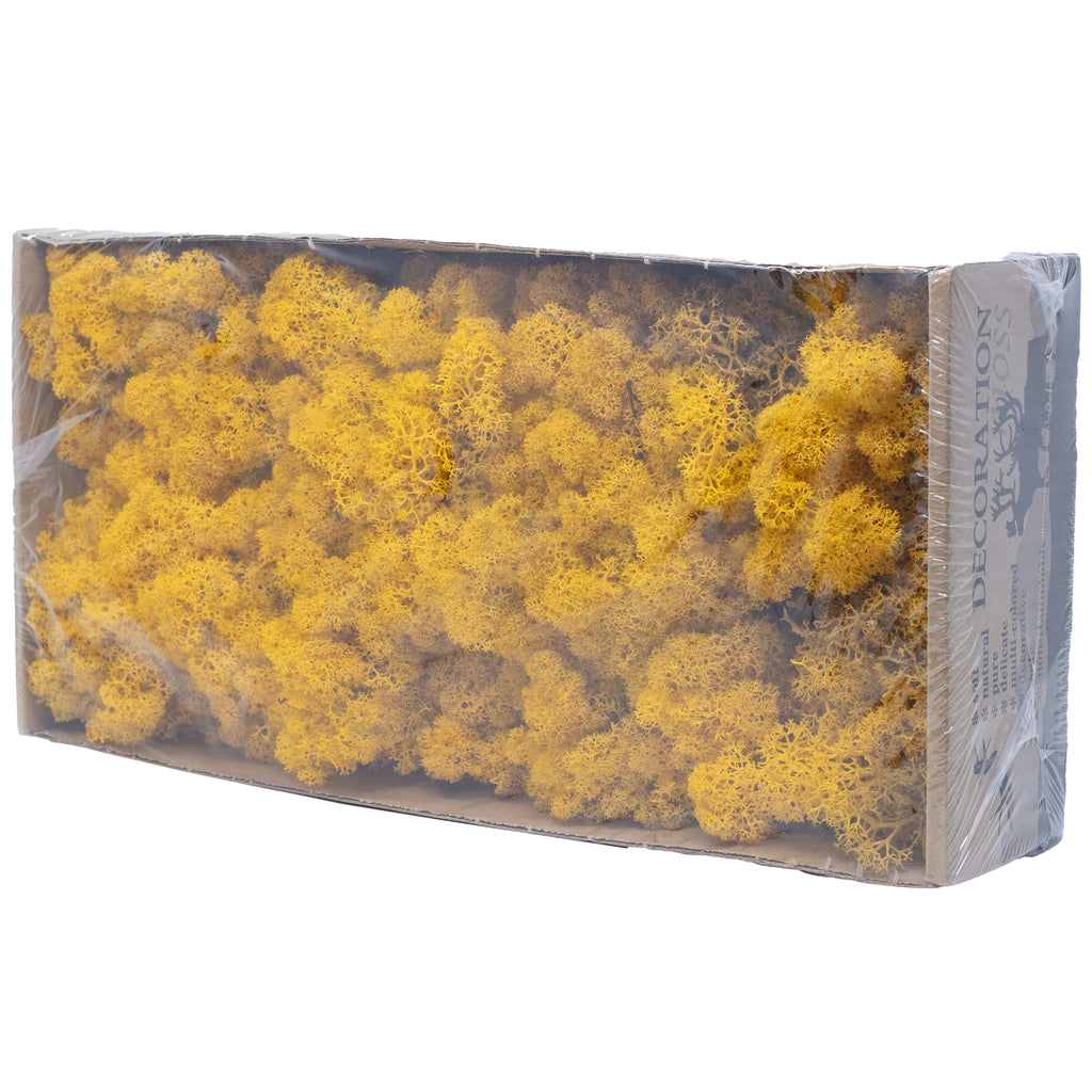 Cardboard Iceland moss mustard yellow 500g