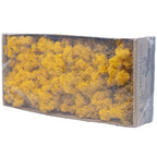 Cardboard Iceland moss mustard yellow 500g