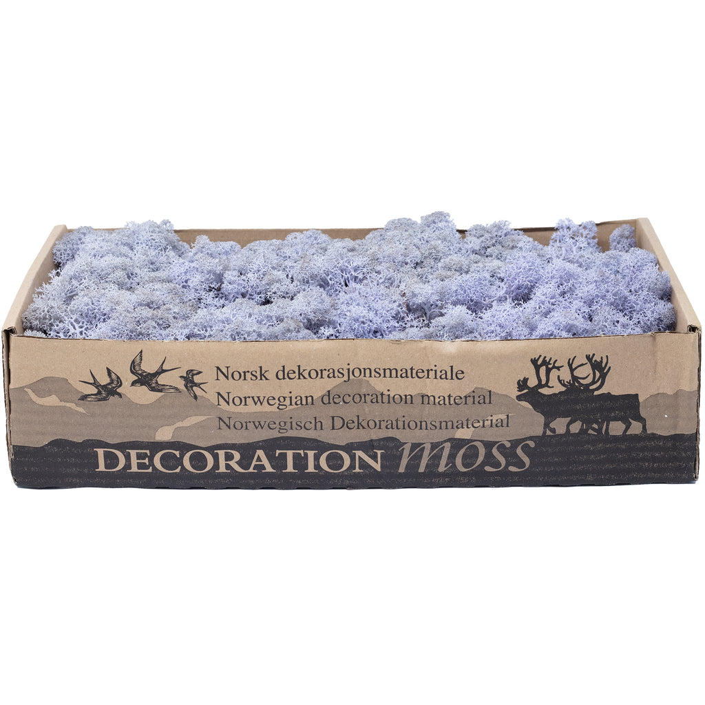 Karton Islandmoos Lavendel 500g