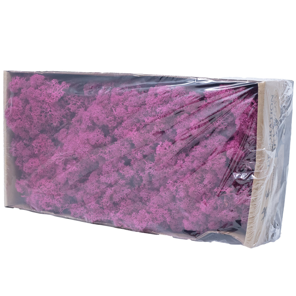 Karton Islandmoos Erika-Violett 500g