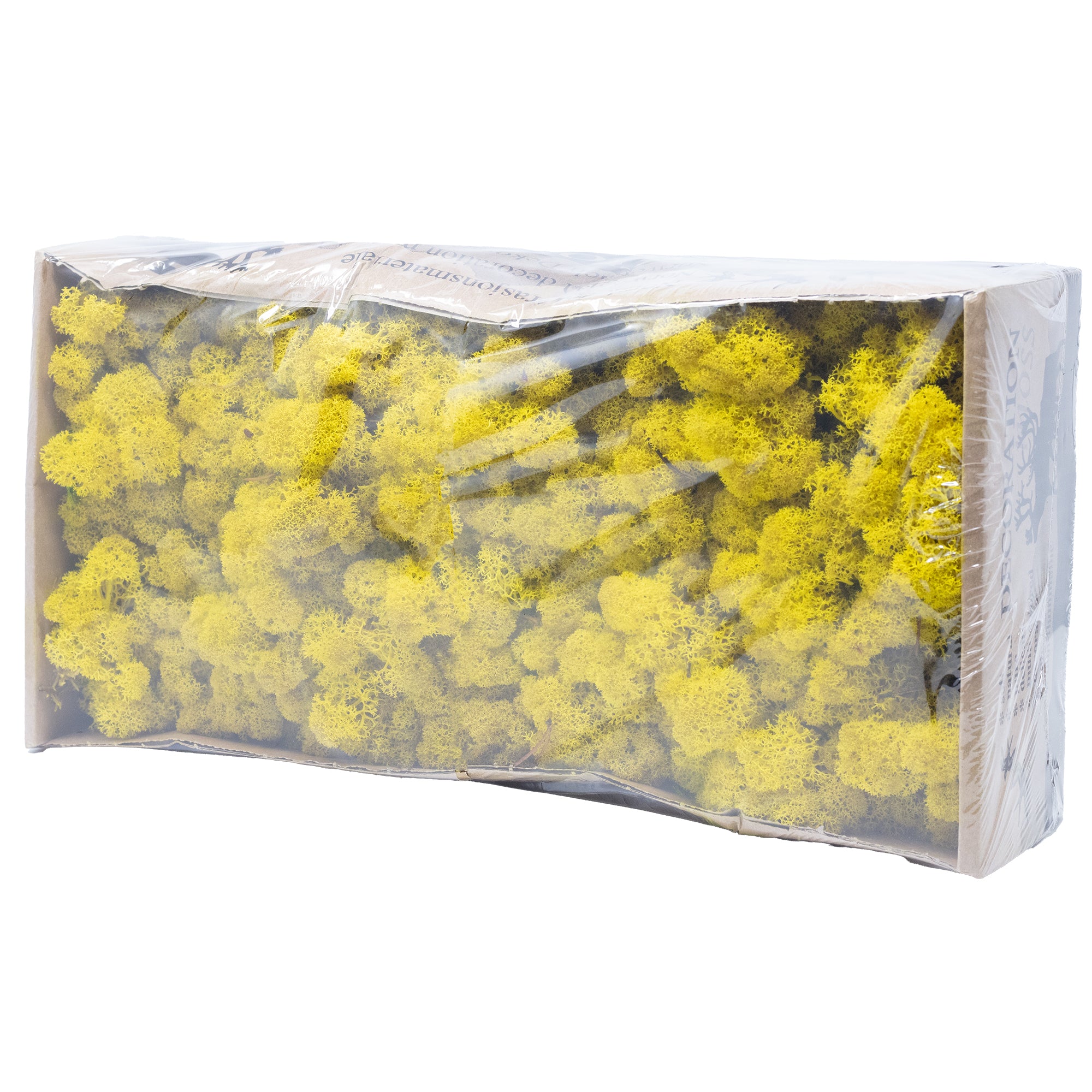 Karton Islandmoos Zitronen-Gelb 500g