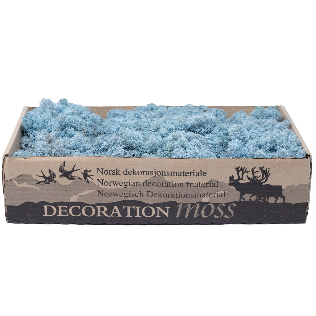 Mousse Cardboard Island bleu glacier 500g