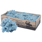 Mousse Cardboard Island bleu glacier 500g