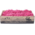 Box of reindeer moss fuchsia 500g