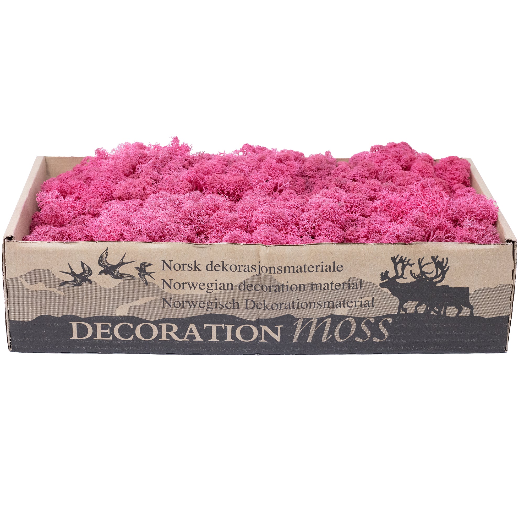 Box of reindeer moss fuchsia 500g