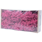 Box of reindeer moss fuchsia 500g