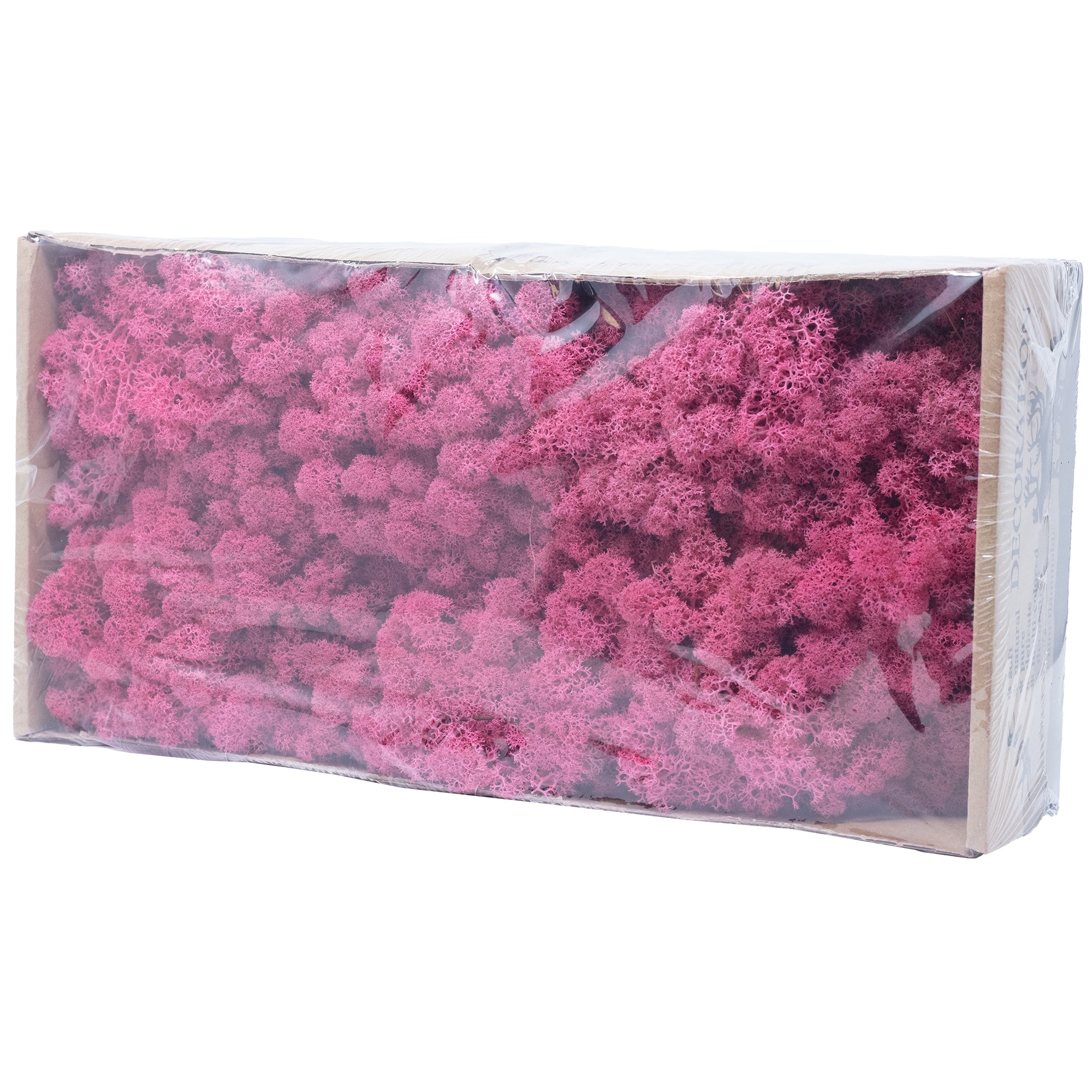 Box of reindeer moss fuchsia 500g
