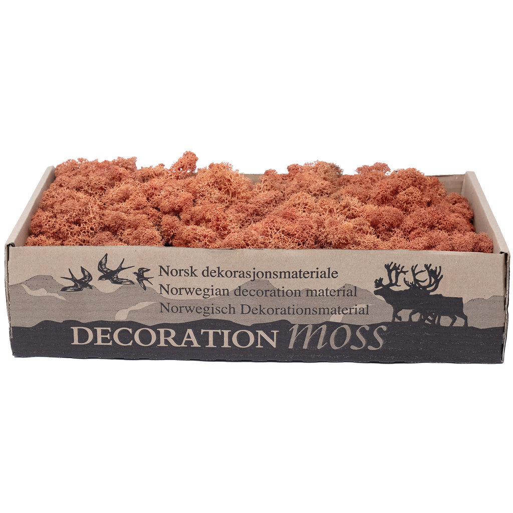 Boîte de mousse de renne mangue-orange 500g