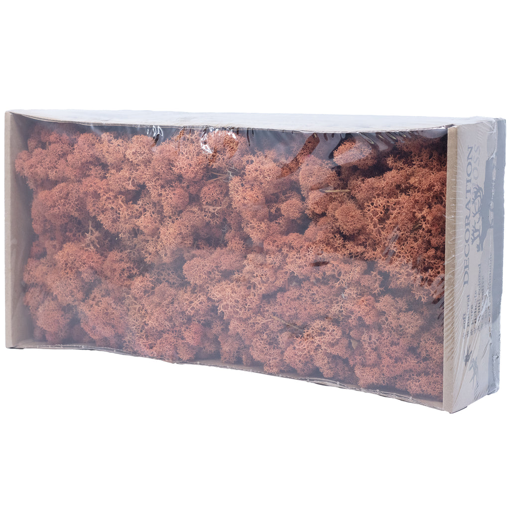 Boîte de mousse de renne mangue-orange 500g