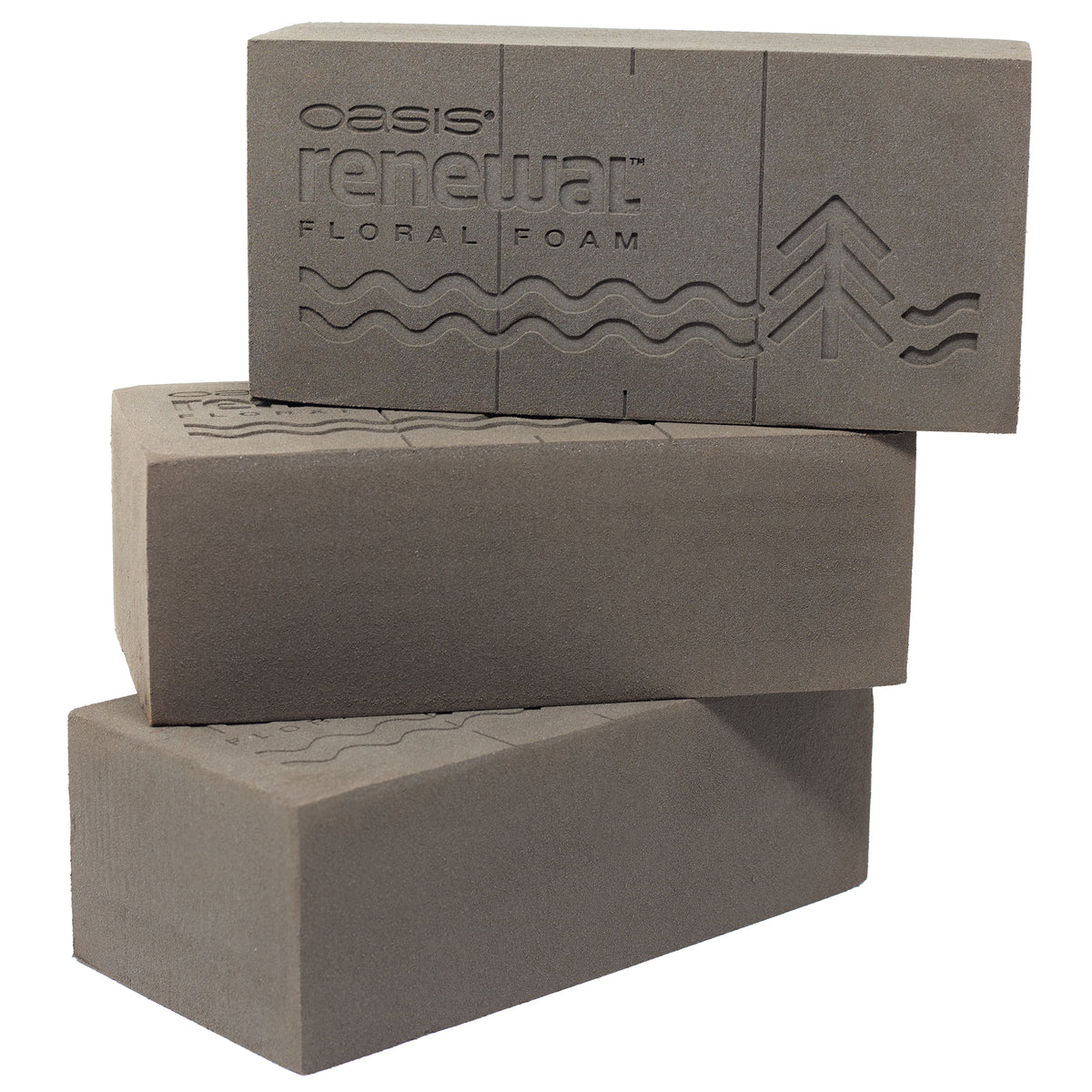 3x Original OASIS® Renewal™ Steckschaum basierend auf pflanzlichen, biobasierten Rohstoffen - 23 x 11 x 7,5 cm - Steckmasse Blumen