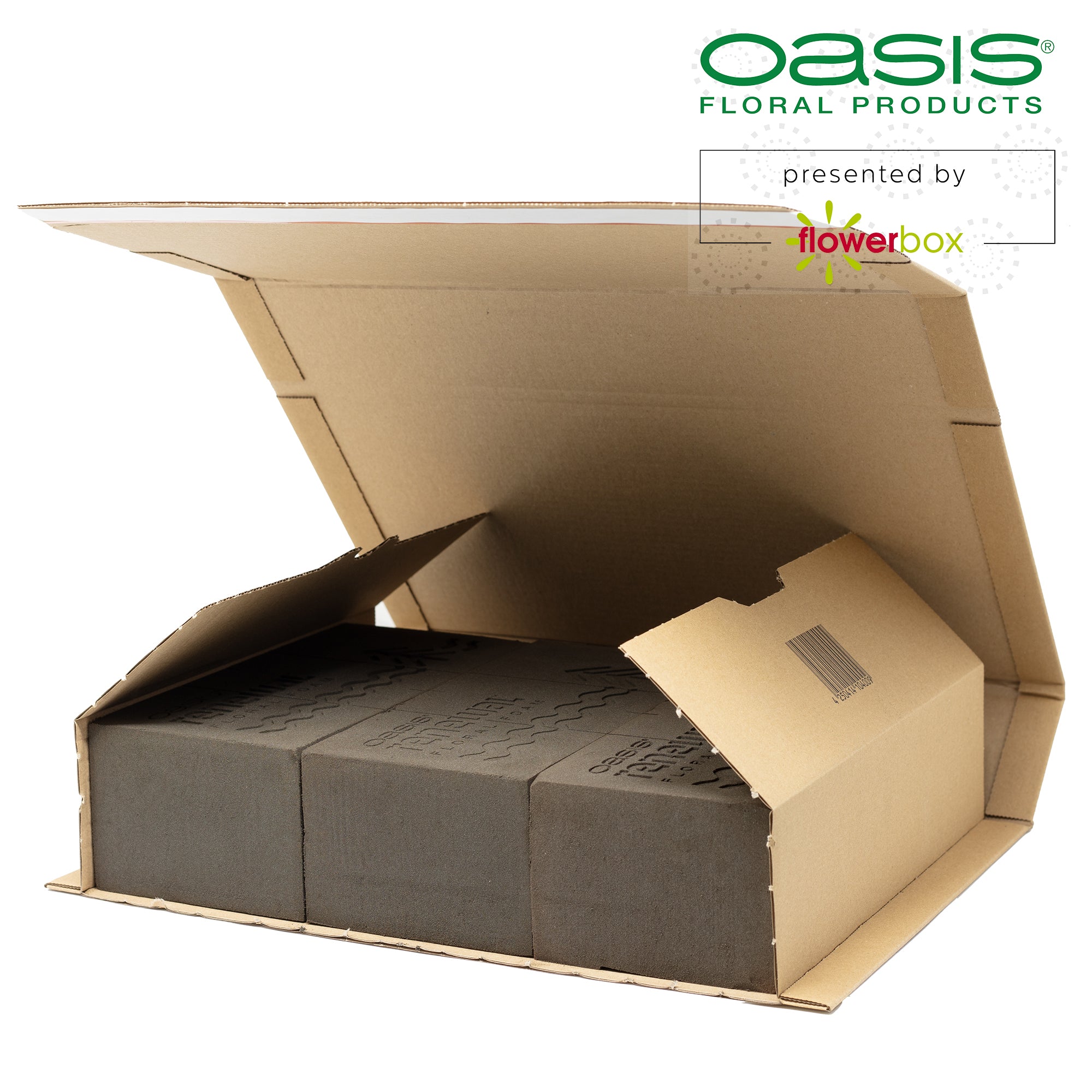 3x Original OASIS® Renewal™ Steckschaum aus pflanzlichen, biobasierten Rohstoffen - Steckmasse Blumen - Nasssteckschaum Hochzeit Geburtstag Kirche Ziegelform umweltfreundlich