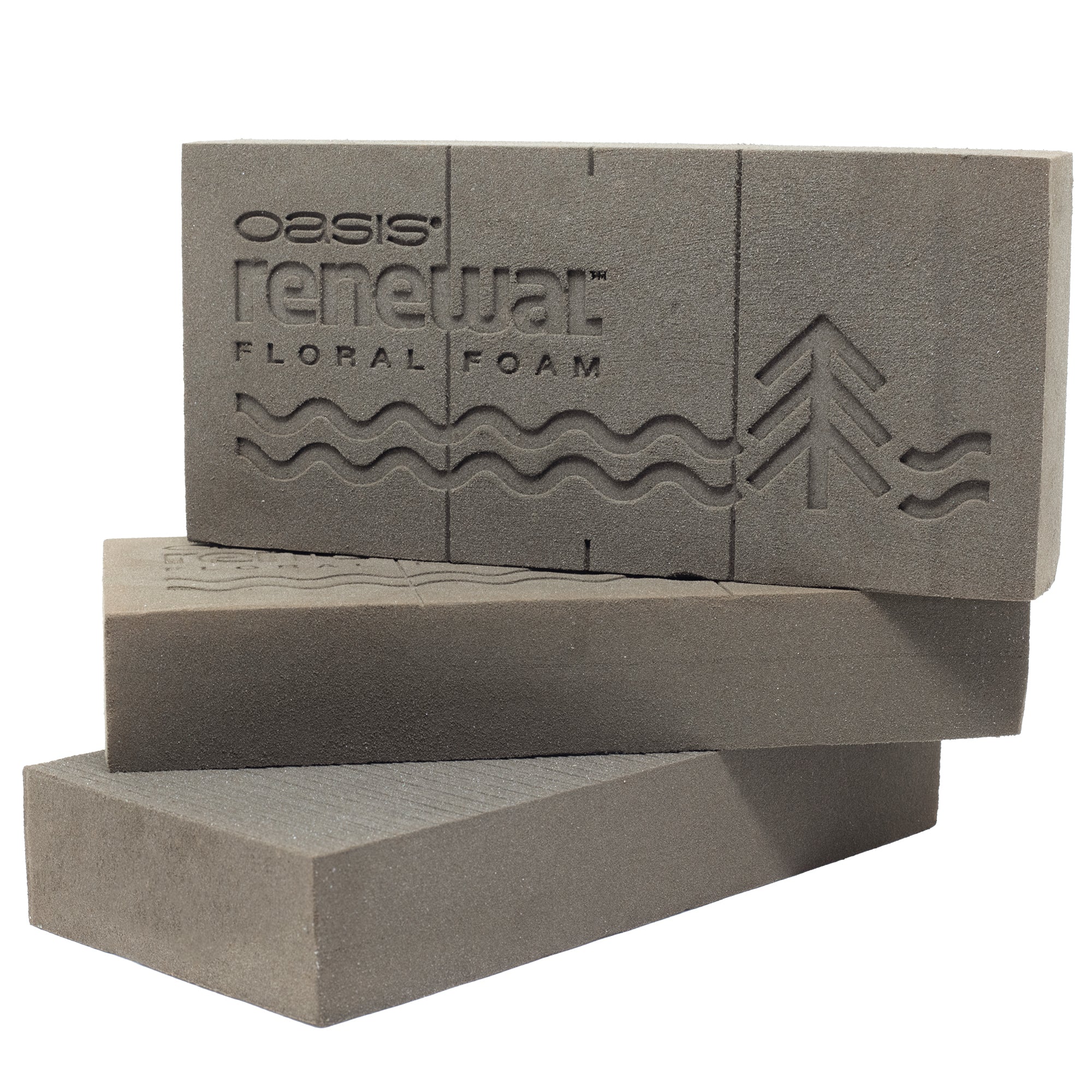 3x Original OASIS® Renewal™ Steckschaum aus pflanzlichen, biobasierten Rohstoffen - Steckmasse Blumen - Nasssteckschaum Hochzeit Geburtstag Kirche Ziegelform umweltfreundlich