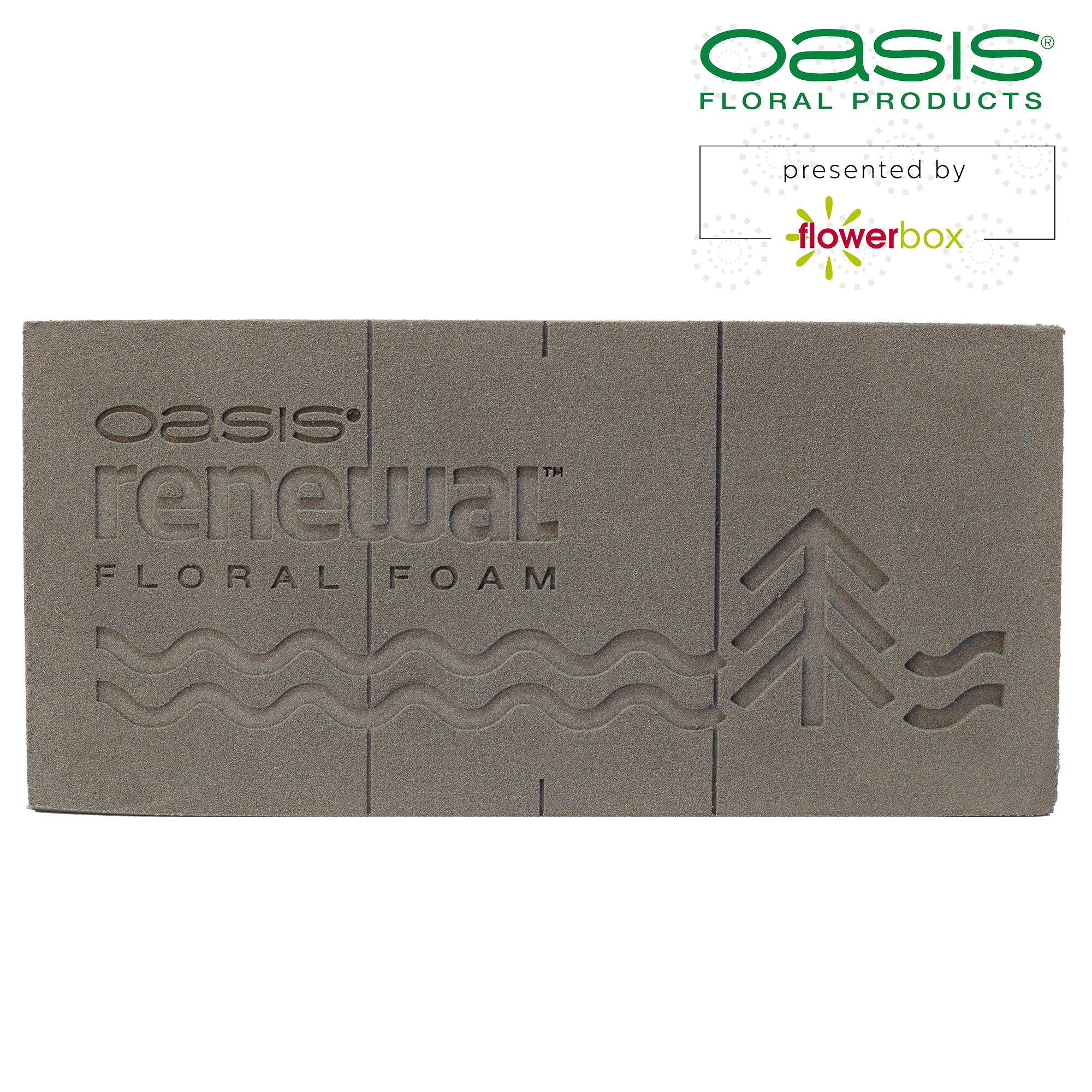 3x Original OASIS® Renewal™ Steckschaum aus pflanzlichen, biobasierten Rohstoffen - Steckmasse Blumen - Nasssteckschaum Hochzeit Geburtstag Kirche Ziegelform umweltfreundlich