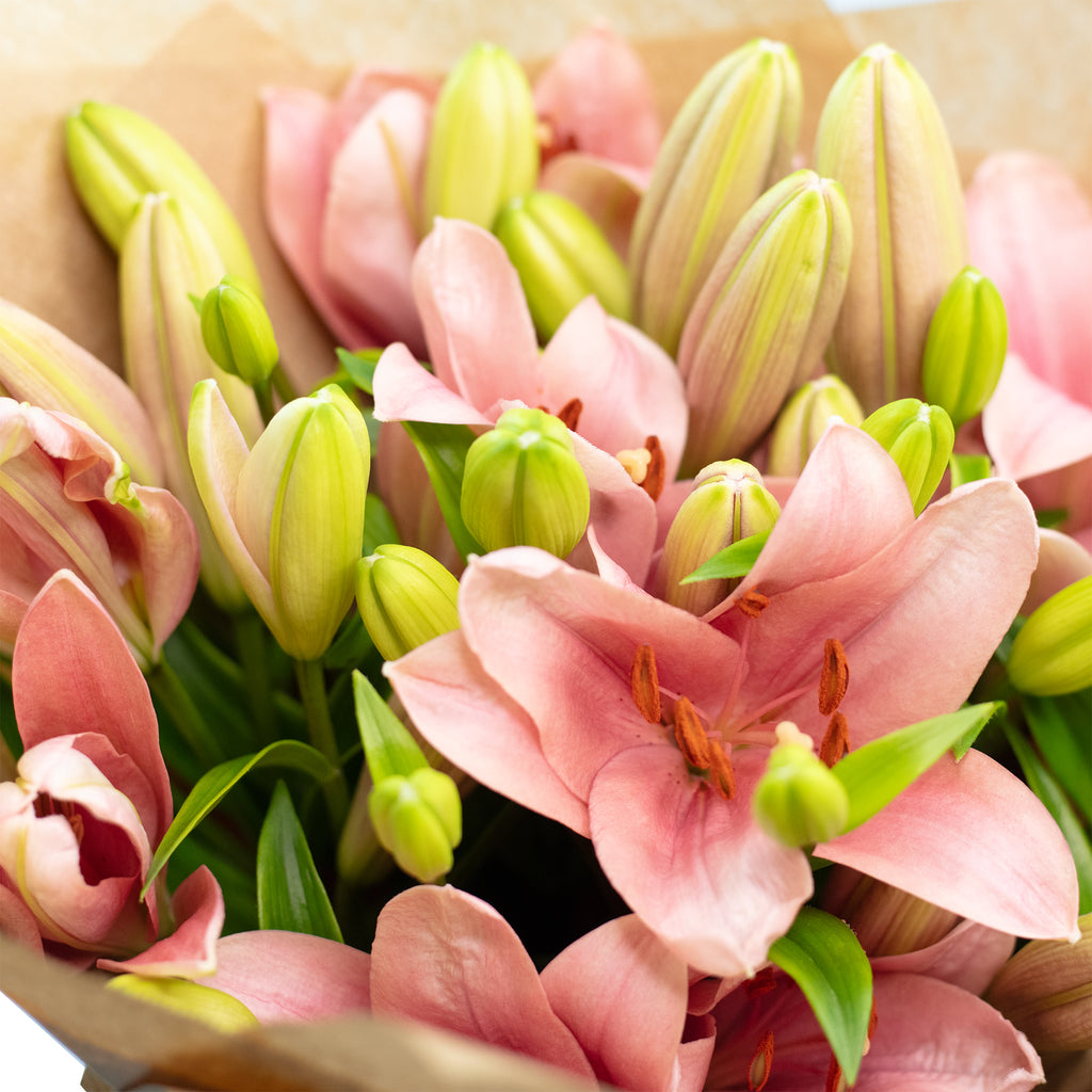 Blumenstrauß 'Lily Grace' - Länge ca. 50-60 cm - Strauß frischer Blumen