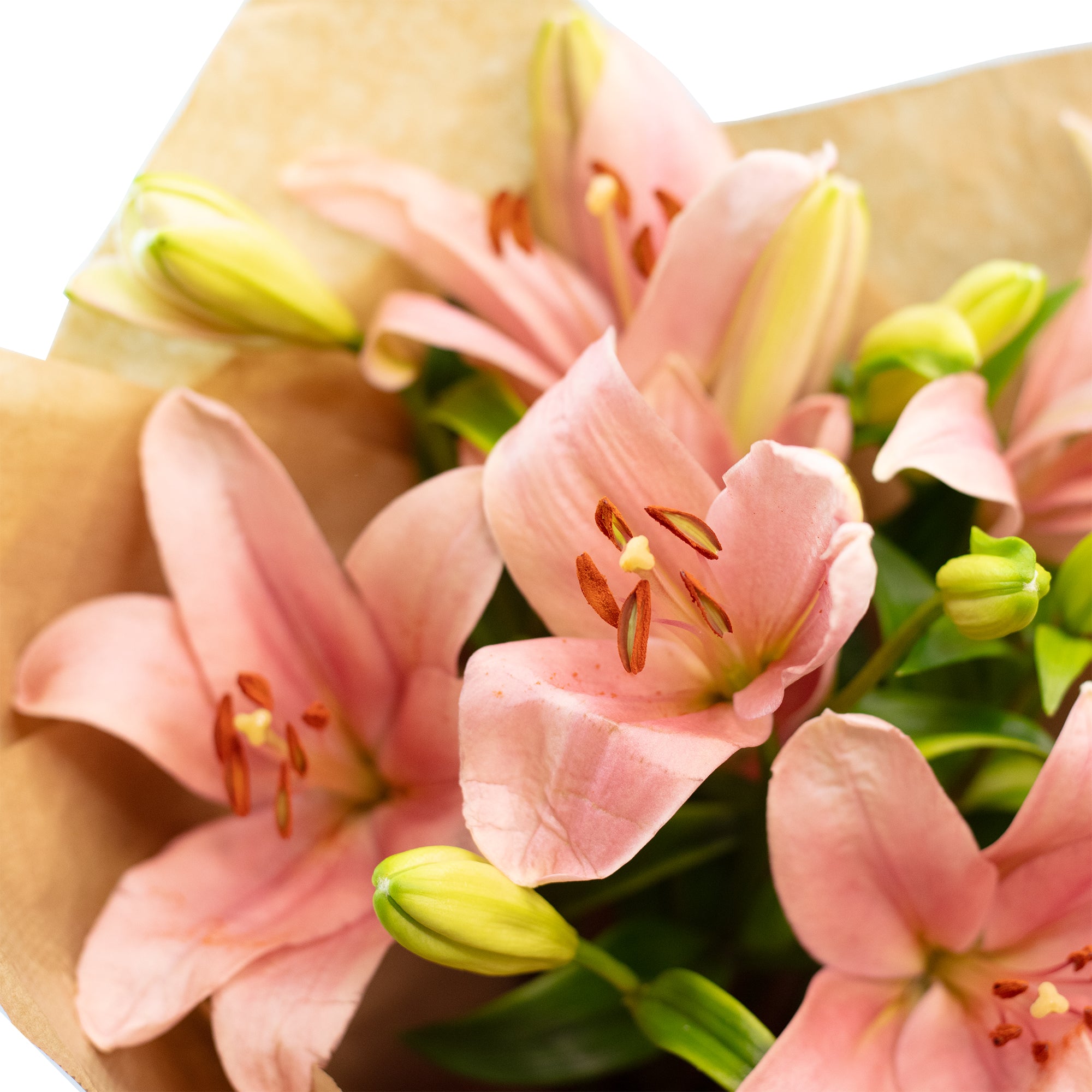 Blumenstrauß 'Lily Grace' - Länge ca. 50-60 cm - Strauß frischer Blumen