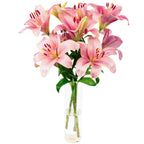 Blumenstrauß 'Lily Grace' - Länge ca. 40-50 cm - Strauß frischer Lilien