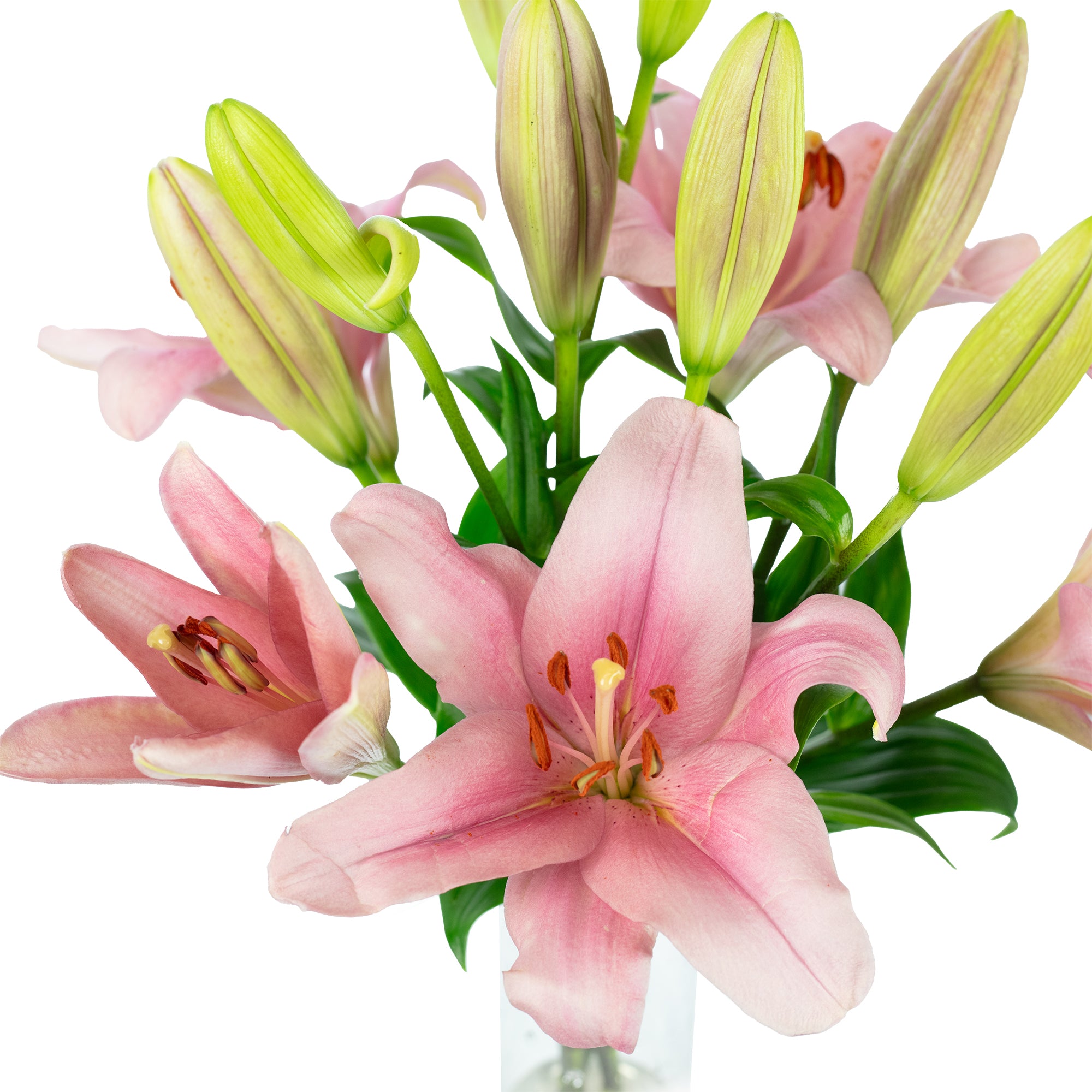 Blumenstrauß 'Lily Grace' - Länge ca. 40-50 cm - Strauß frischer Lilien