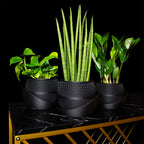 Modern Planter 'Drift' – Decorative Flower Pot for Indoor Plants
