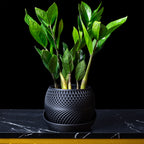 Modern Planter 'Drift' – Decorative Flower Pot for Indoor Plants