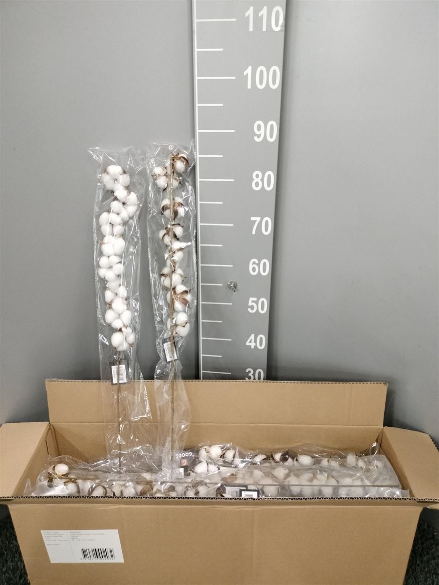 Branche de coton, naturelle, 90 cm