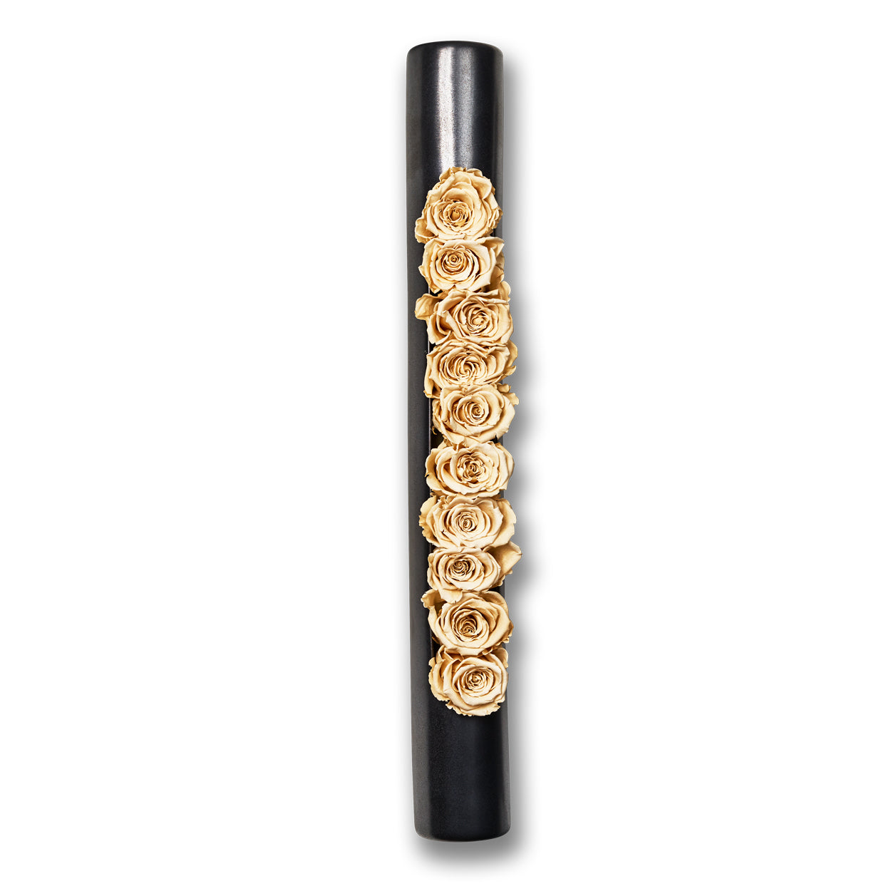 Infinity-Bloom bigTube - anthracite/champagne - 65 x 7,5 cm