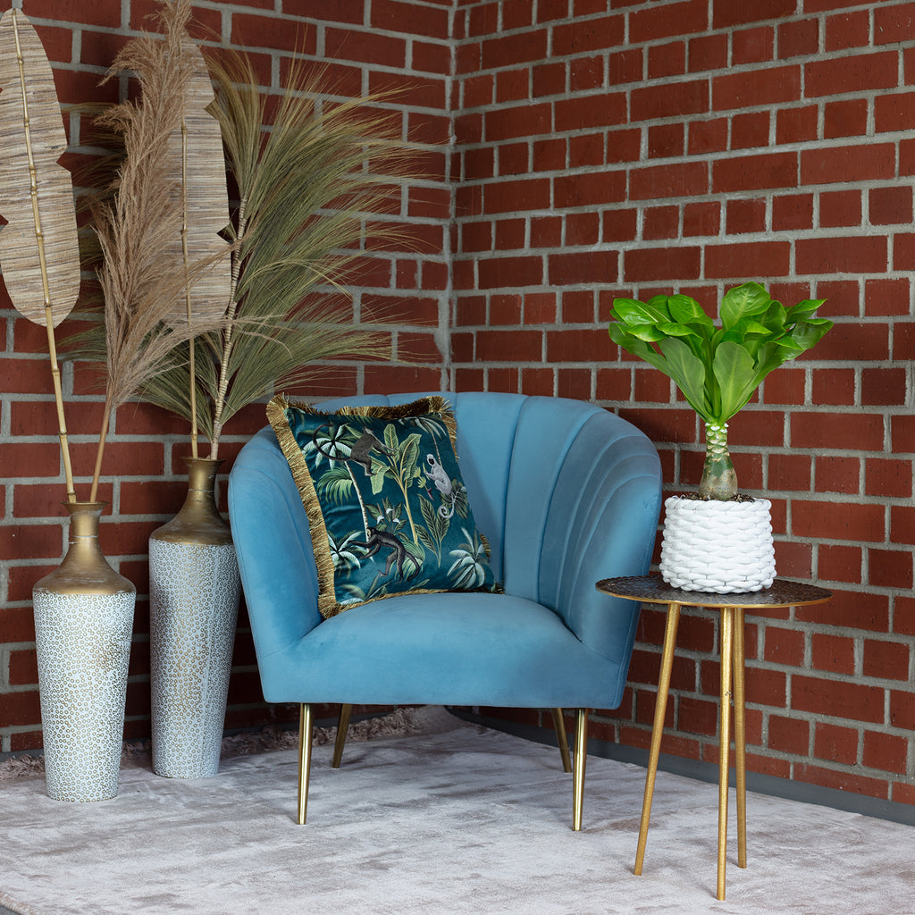 Hawaiipalme - Brighamia - Höhe ca. 40 cm, Topf-Ø 12 cm