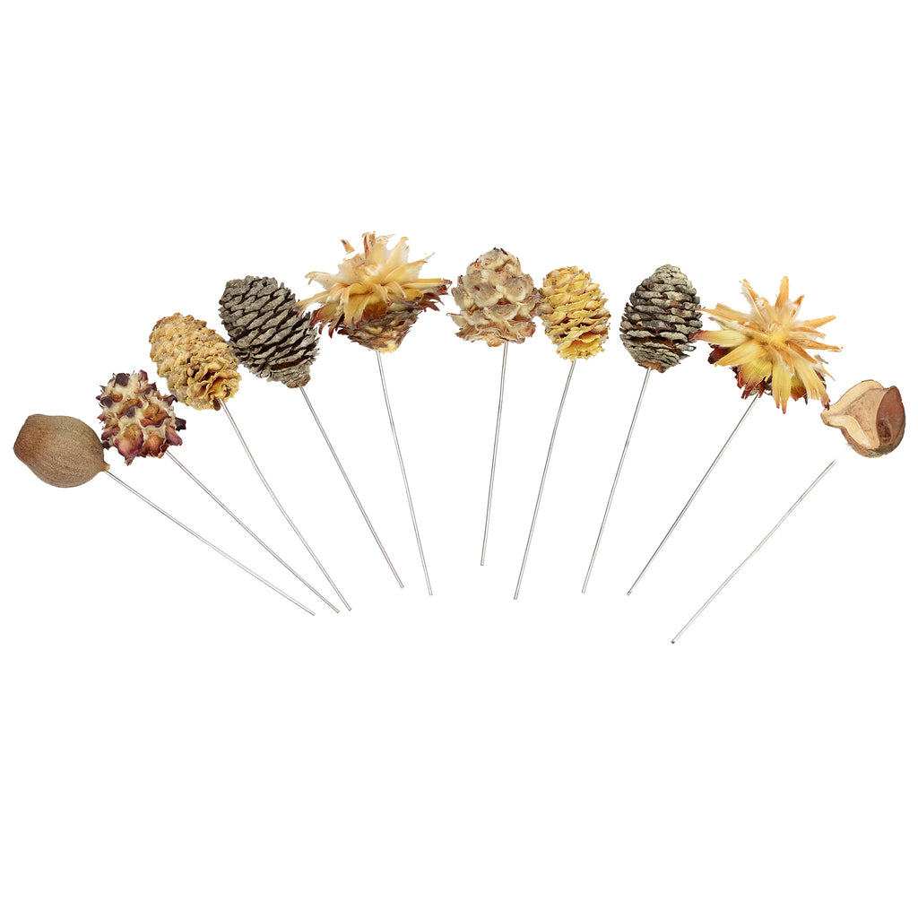 Leuco natur am Draht - 10 Stück - natur