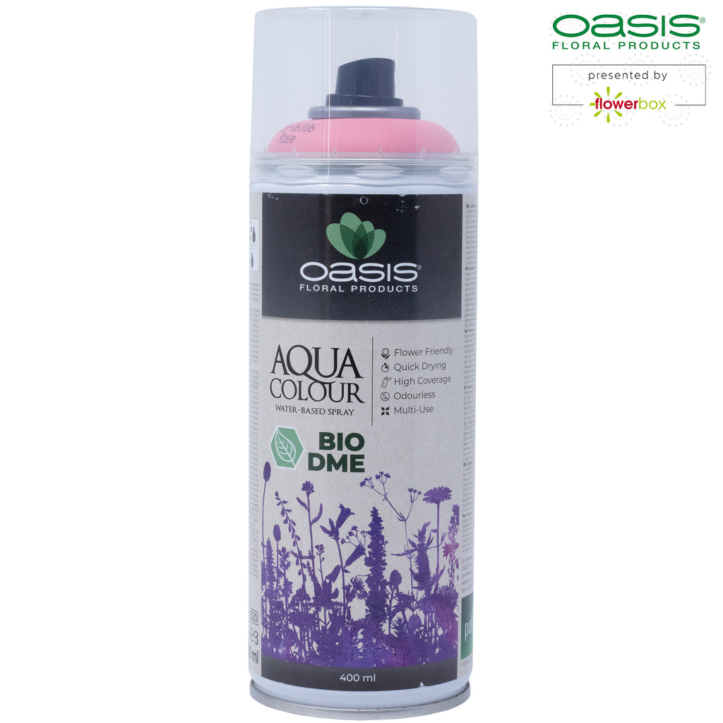 OASIS Aqua Colour Spray - altrosa - 400 ml