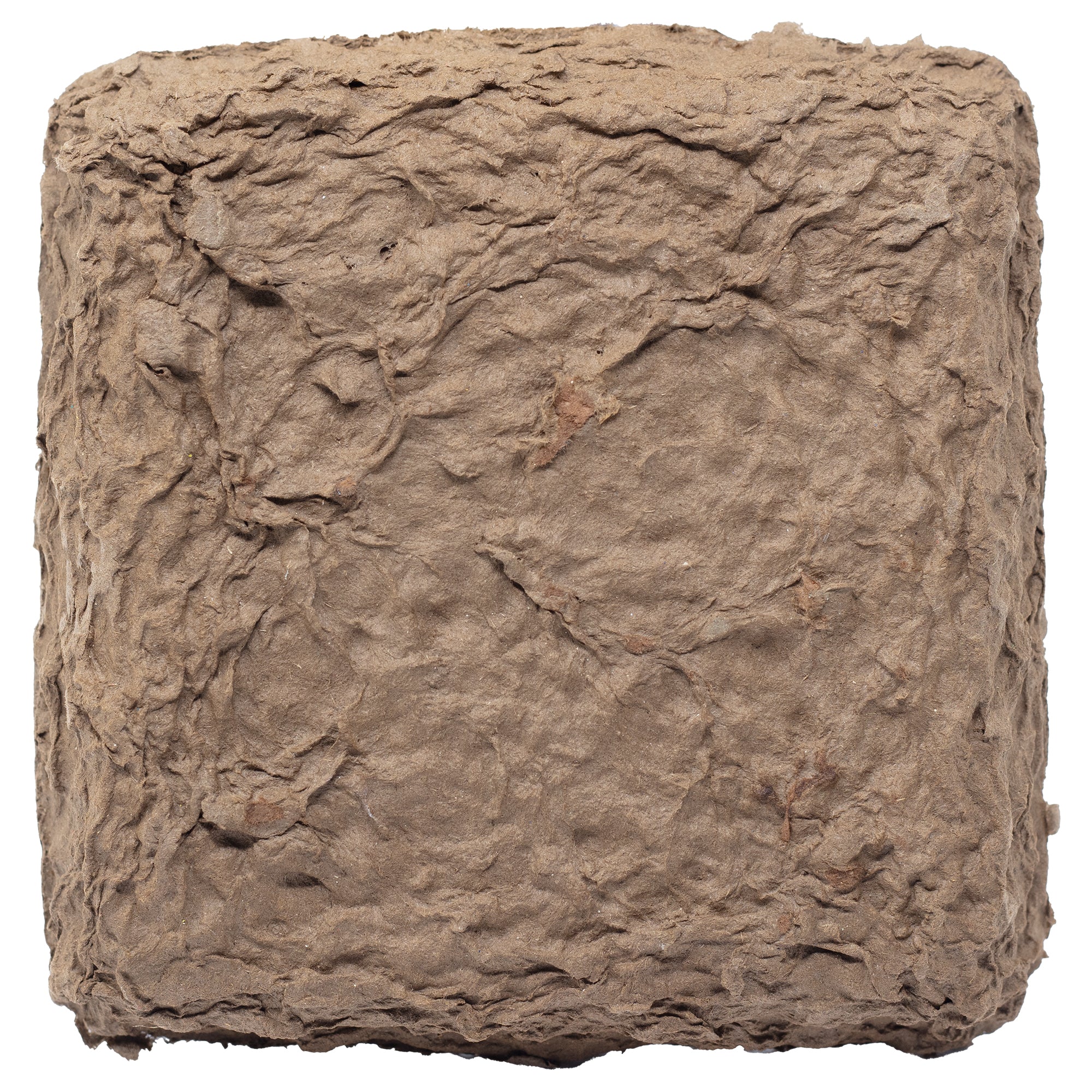 OASIS® BIOLIT® Unterlage für 1/2 Ziegel - 13 x 13 x 2 cm -  Set aus 12 Stück