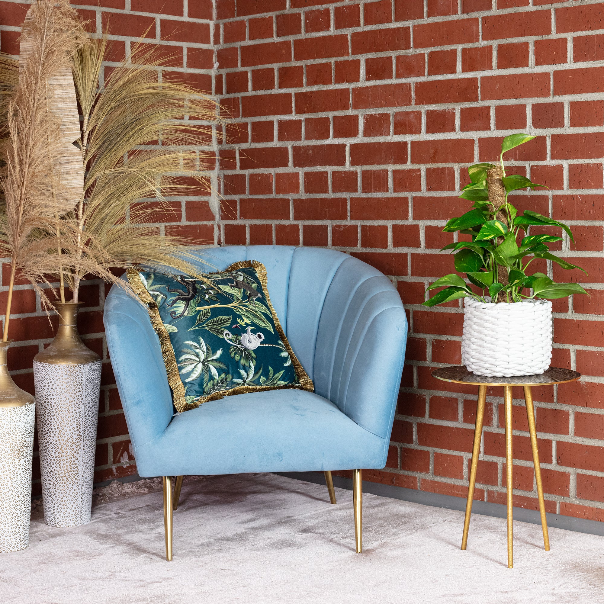 Efeutute am Moosstab - Epipremnum aureum - Höhe ca. 50 cm, Topf-Ø 15 cm