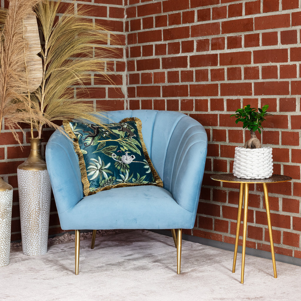 Chinesische Feige - Ficus Ginseng - Höhe ca. 25 cm, Topf-Ø 12 cm