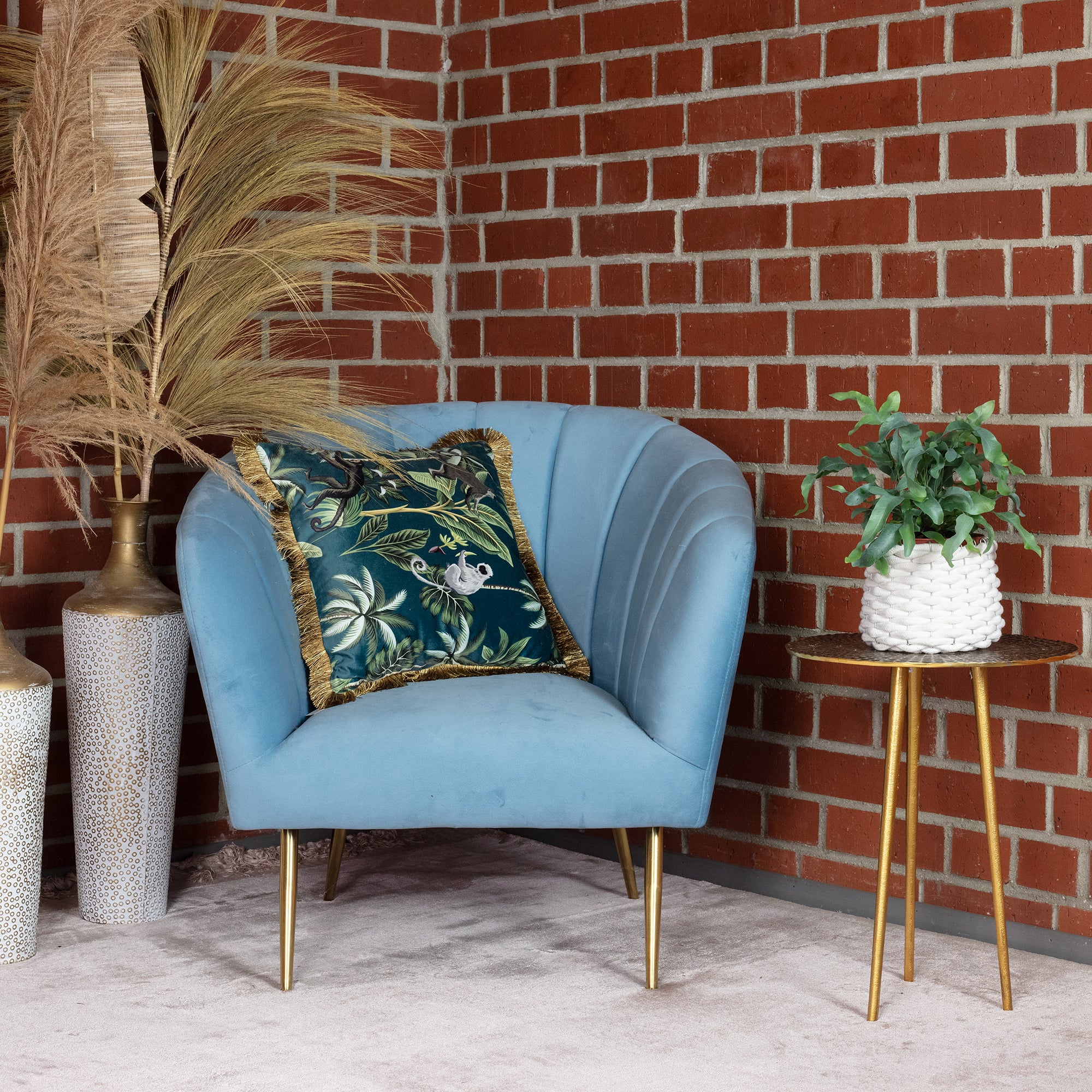 Goldtüpfelfarn - Phlebodium aureum 'Blue Star' - Höhe ca. 40 cm, Topf-Ø 14 cm